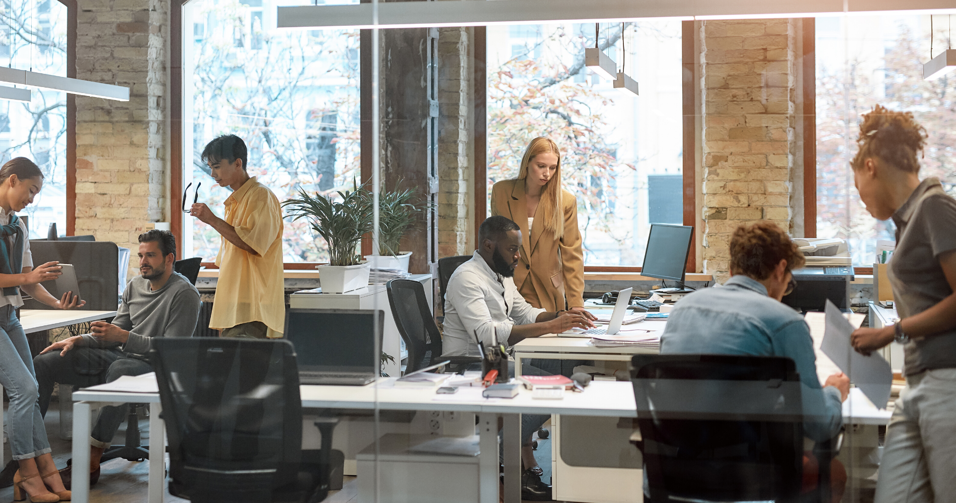 Démonstration de notre LCMS Storiz – épisode 1