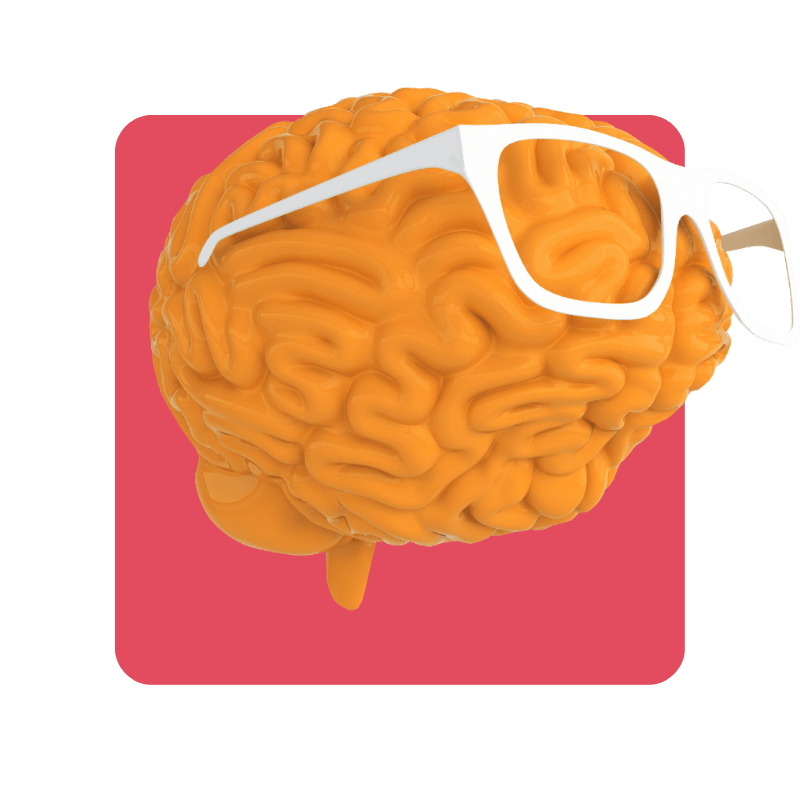 cerveau sur fond corail